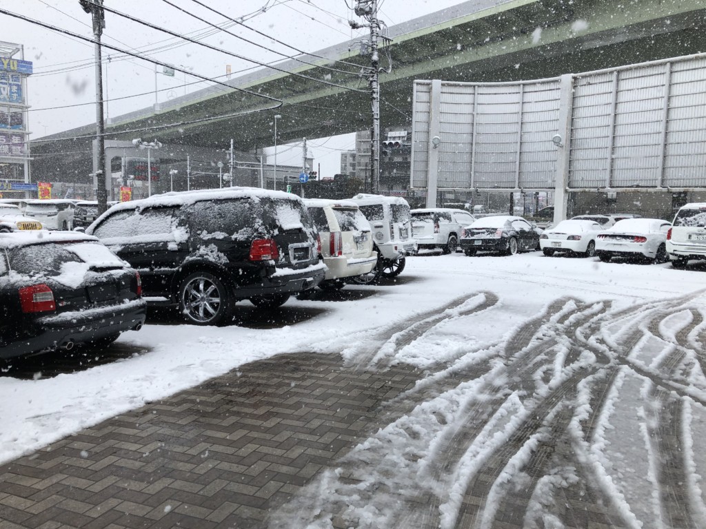 季節外れの雪